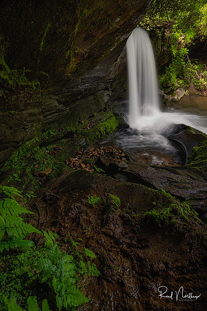 Raper Creek Falls  May 2022