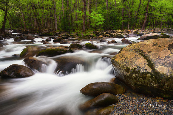 Smoky Mountain Cascades