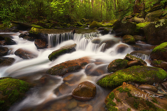 Smoky Mountain Stream