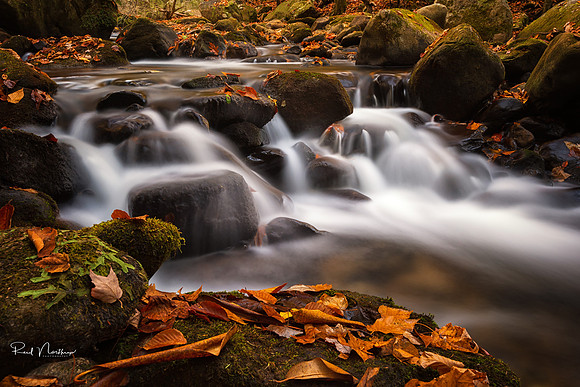 Downstream Cascades at Jones Gap State Park
