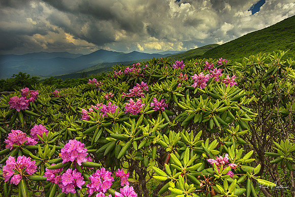 Spring on the Blue Ridge Parkway
