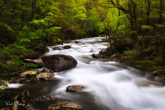 Tremont Stream Cascades