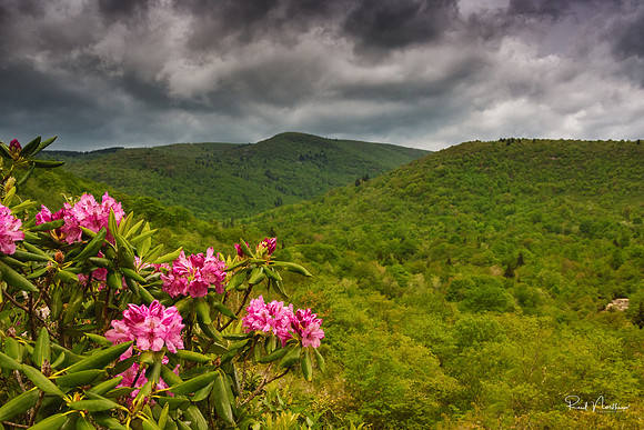 Graveyard Fields - Blue Ridge Parkway - May 2017
