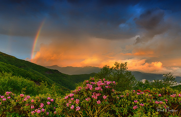 Rainbow and Rhododendrons - June 2015
