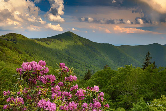 Near Mt. Mitchell State Park - Blue Ridge Parkway, June 2107