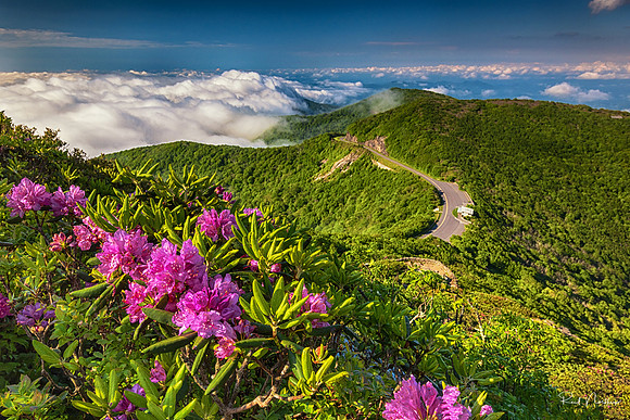Blue Ridge Parkway - Craggy Pinnacle