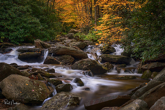 October 2017  Blue Ridge Parkway