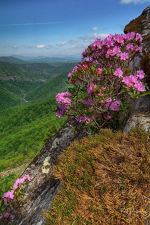 Hawksbill Mountain