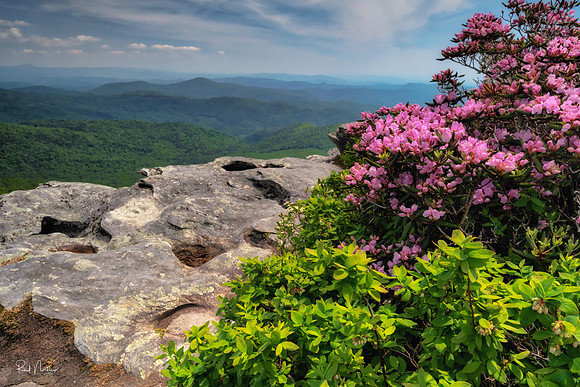 Hawksbill Mountain 4