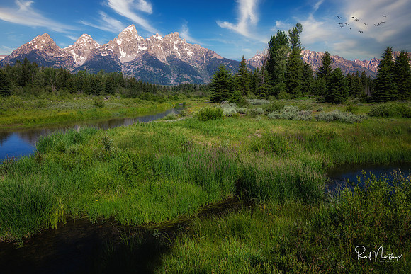 Schwabacher Landing Marshland - July 2021