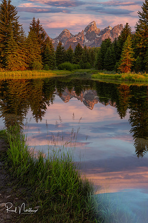 Schwabacher Landing Morning - July 2021