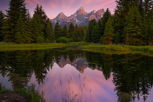 Schwabacher Landing Radiating Morning - July 2021