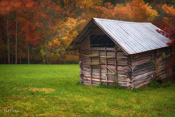 Rural Georgia Shed Oct. 2018