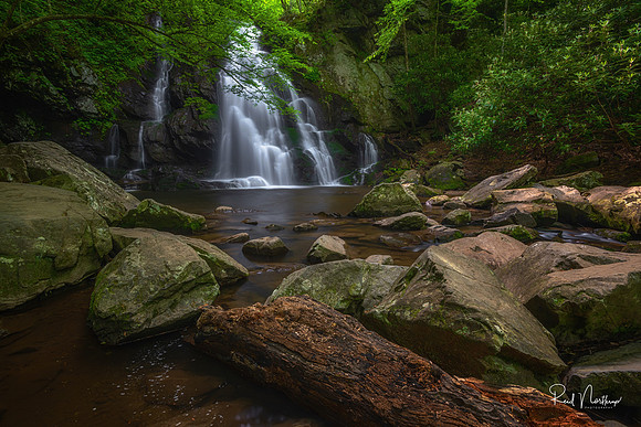Spruce Flat Falls - May 2019