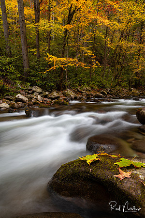 Tremont Oct. 2019