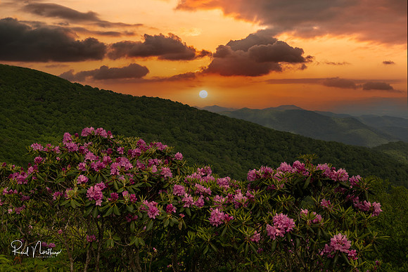 BRP Rhododendron Sunset  June 2022